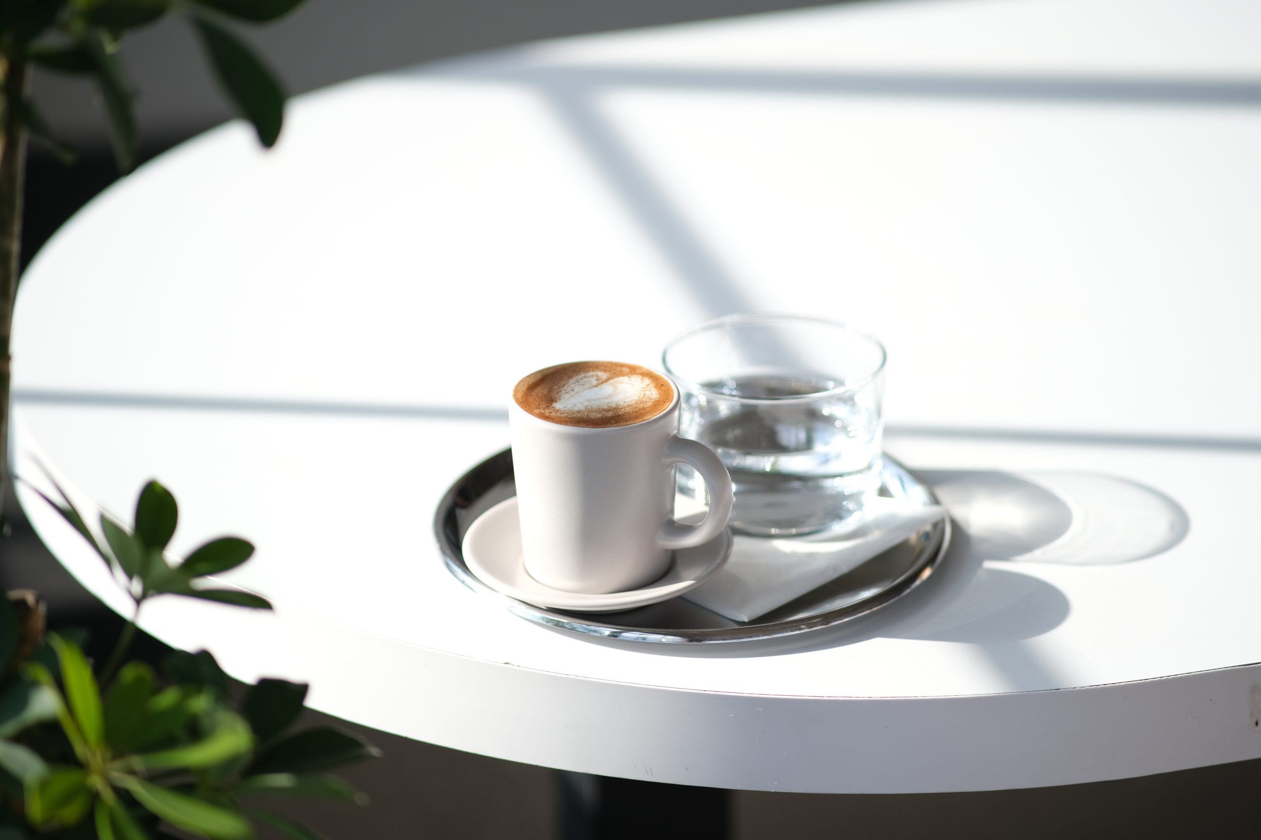 Sütlü Türk Kahvesi